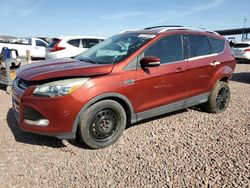 Salvage cars for sale at Phoenix, AZ auction: 2014 Ford Escape Titanium