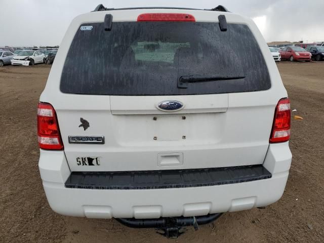 2010 Ford Escape XLT