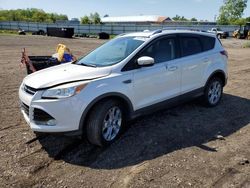Vehiculos salvage en venta de Copart Columbia Station, OH: 2015 Ford Escape Titanium