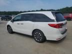 2024 Honda Odyssey EXL