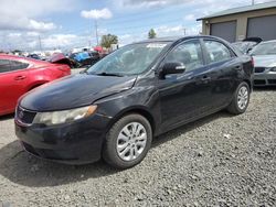 Salvage cars for sale at Eugene, OR auction: 2010 KIA Forte EX