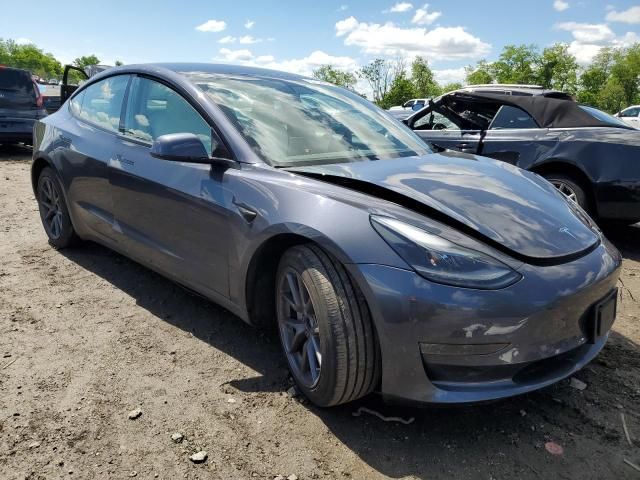 2021 Tesla Model 3