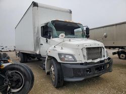 Salvage trucks for sale at Wilmer, TX auction: 2023 Hino 258 268