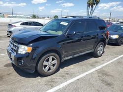 Ford Escape Limited salvage cars for sale: 2012 Ford Escape Limited