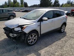 Vehiculos salvage en venta de Copart Graham, WA: 2013 Ford Escape SEL