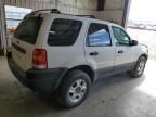 2004 Ford Escape XLT