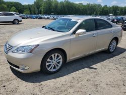 Lexus salvage cars for sale: 2012 Lexus ES 350