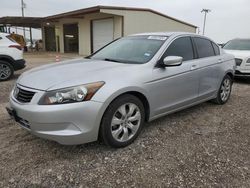 Salvage cars for sale at Temple, TX auction: 2010 Honda Accord EXL