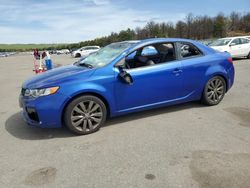 Salvage cars for sale at auction: 2011 KIA Forte SX