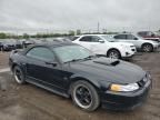 2001 Ford Mustang GT