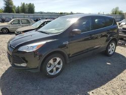 Salvage cars for sale from Copart Arlington, WA: 2014 Ford Escape SE