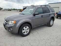 Hail Damaged Cars for sale at auction: 2012 Ford Escape XLT