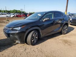 Salvage cars for sale from Copart Woodhaven, MI: 2021 Lexus NX 300H Base