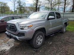 Salvage SUVs for sale at auction: 2021 Toyota Tacoma Double Cab