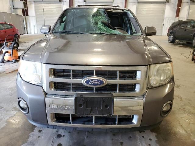 2011 Ford Escape Limited