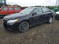 2009 Toyota Camry Base en venta en Windsor, NJ