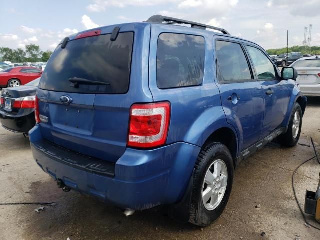 2009 Ford Escape XLT