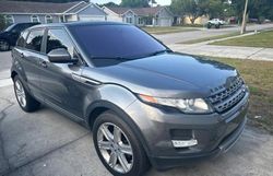 Salvage cars for sale at Orlando, FL auction: 2015 Land Rover Range Rover Evoque Pure Plus