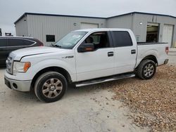 Salvage cars for sale from Copart New Braunfels, TX: 2014 Ford F150 Supercrew