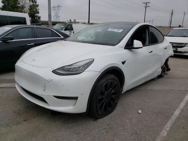 2020 Tesla Model Y