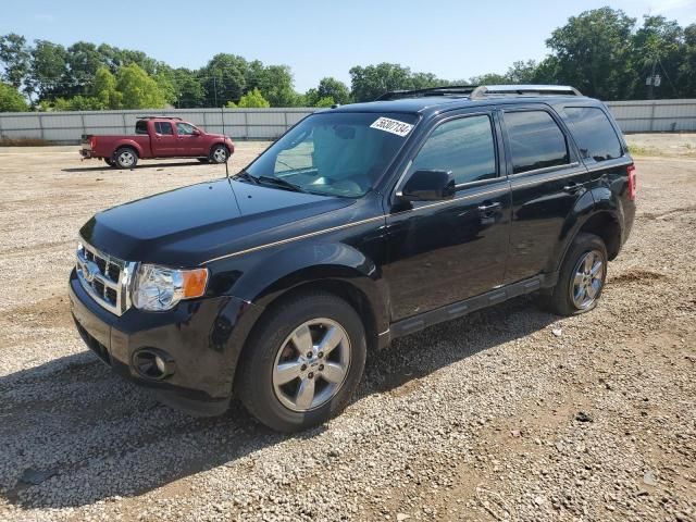 2010 Ford Escape Limited