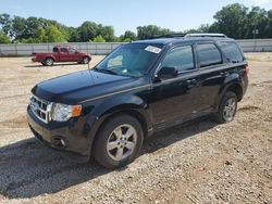 Salvage cars for sale at Theodore, AL auction: 2010 Ford Escape Limited