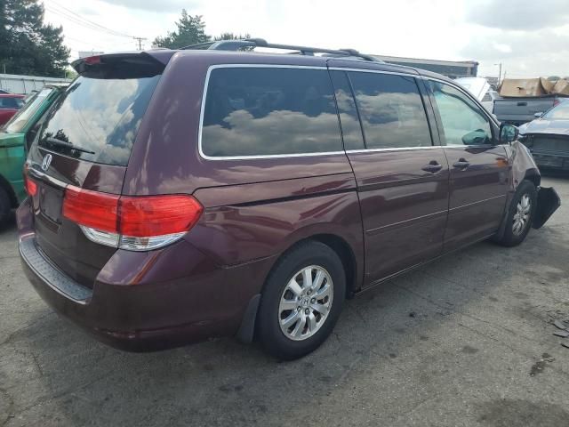 2010 Honda Odyssey EXL