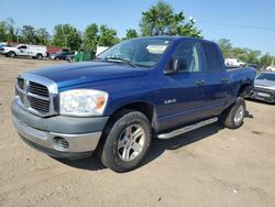 Salvage trucks for sale at Baltimore, MD auction: 2008 Dodge RAM 1500 ST