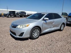 Salvage cars for sale from Copart Phoenix, AZ: 2013 Toyota Camry L