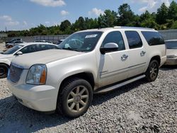 GMC Yukon xl Denali salvage cars for sale: 2013 GMC Yukon XL Denali