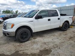 Salvage trucks for sale at Nisku, AB auction: 2009 Ford F150 Supercrew