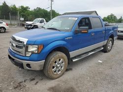 Salvage cars for sale from Copart York Haven, PA: 2013 Ford F150 Supercrew
