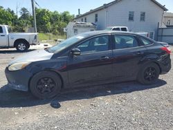 Salvage cars for sale at York Haven, PA auction: 2014 Ford Focus SE
