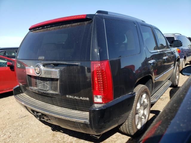 2009 Cadillac Escalade Luxury