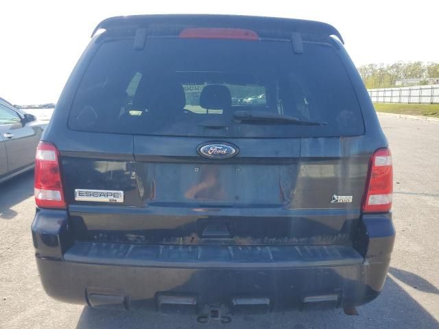 2011 Ford Escape XLT