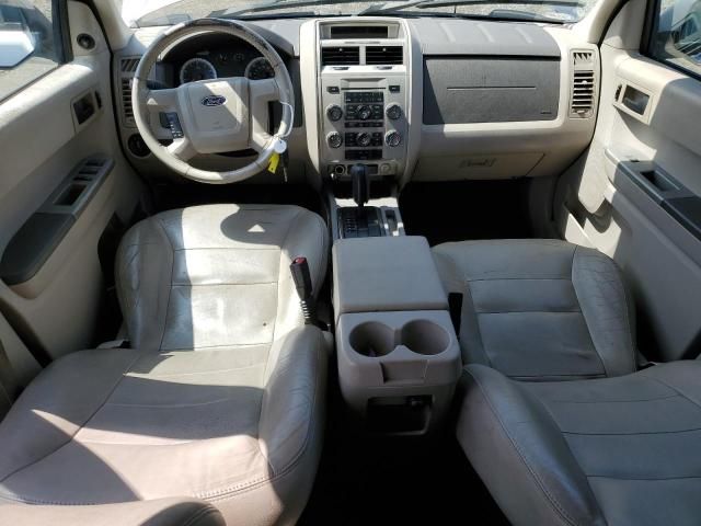 2008 Ford Escape XLT