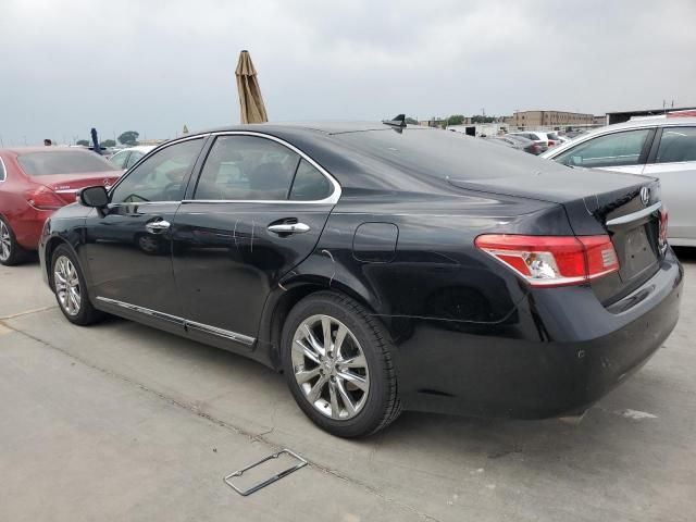 2011 Lexus ES 350