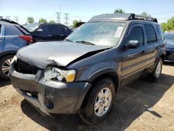 Ford salvage cars for sale: 2005 Ford Escape XLT