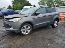 Salvage cars for sale at Finksburg, MD auction: 2013 Ford Escape SE