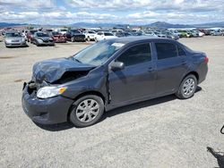 Toyota salvage cars for sale: 2010 Toyota Corolla Base