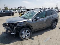 Salvage cars for sale at Rancho Cucamonga, CA auction: 2022 Toyota Rav4 XLE