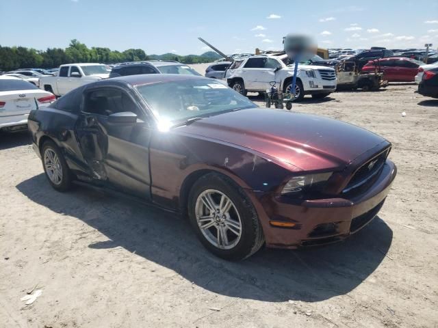 2014 Ford Mustang