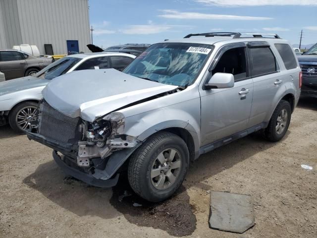 2011 Ford Escape Limited