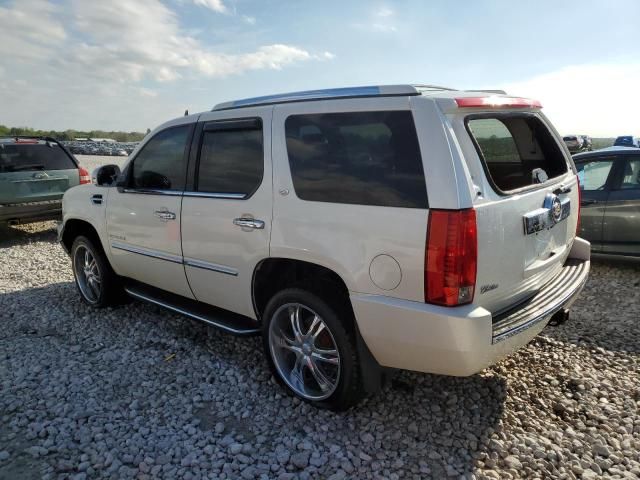 2010 Cadillac Escalade Luxury