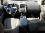 2009 Ford Edge SEL