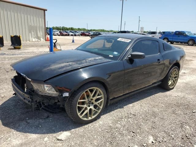 2013 Ford Mustang