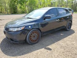 Salvage cars for sale from Copart Bowmanville, ON: 2013 KIA Forte EX