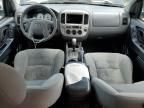 2006 Ford Escape XLT