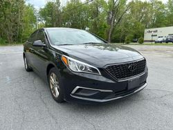 2016 Hyundai Sonata SE en venta en North Billerica, MA