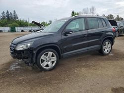 Salvage cars for sale at Bowmanville, ON auction: 2013 Volkswagen Tiguan S